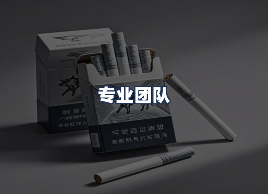 专业团队